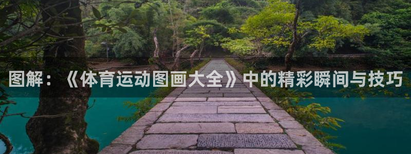 bbin视讯下