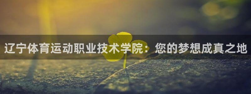 bbin视讯游戏官网