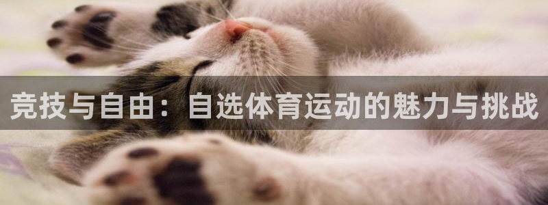 bbin视讯：竞技与自由：自选体育运动的魅力与挑战
