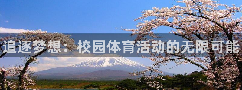 bbin视讯游戏官网：追逐梦想：校园体育活动的无限可能