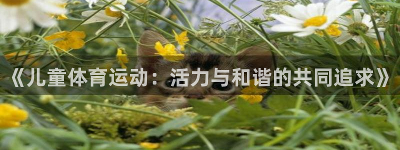 bbin视讯：《儿童体育运动：活力与和谐的共同追求》