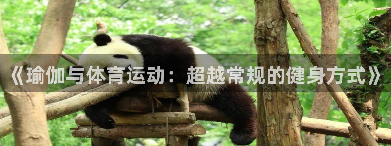 bbin视讯：《瑜伽与体育运动：超越常规的健身方式》