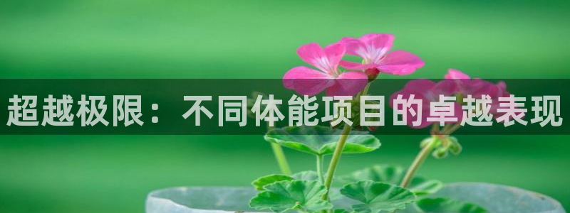 bbin视讯：超越极限：不同体能项目的卓越表现