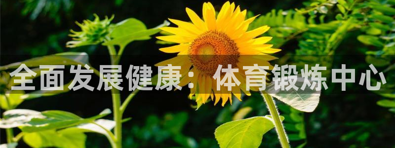 bbin视讯