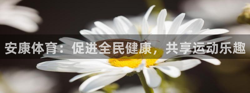 bbin视讯