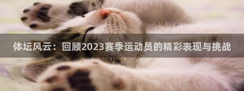 bbin视讯游戏官网：体坛风云：回顾2023赛季运动员的精彩表现与挑战