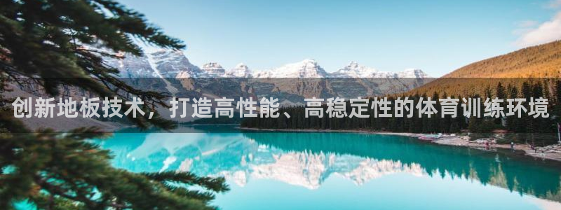 bbin视讯游戏平台：创新地板技术，打造高性能、高稳定性的体育训练环境